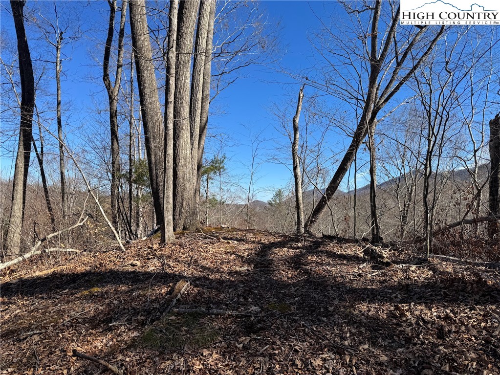 TBD Misty Mountain Road