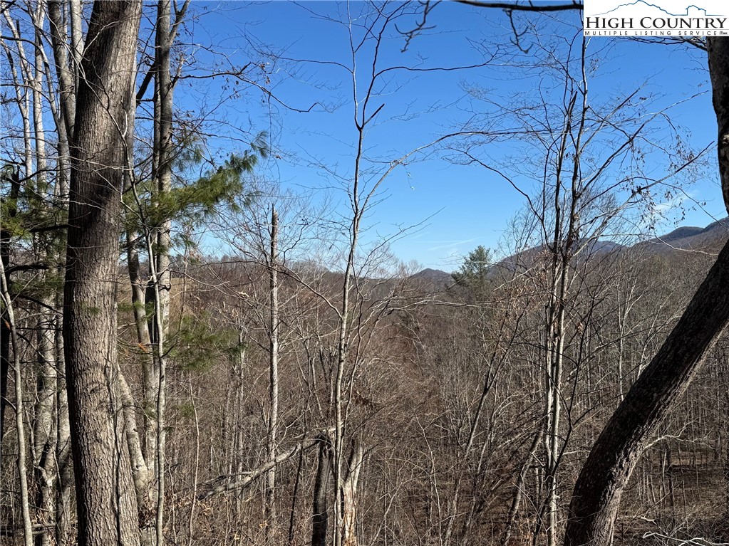 TBD Misty Mountain Road