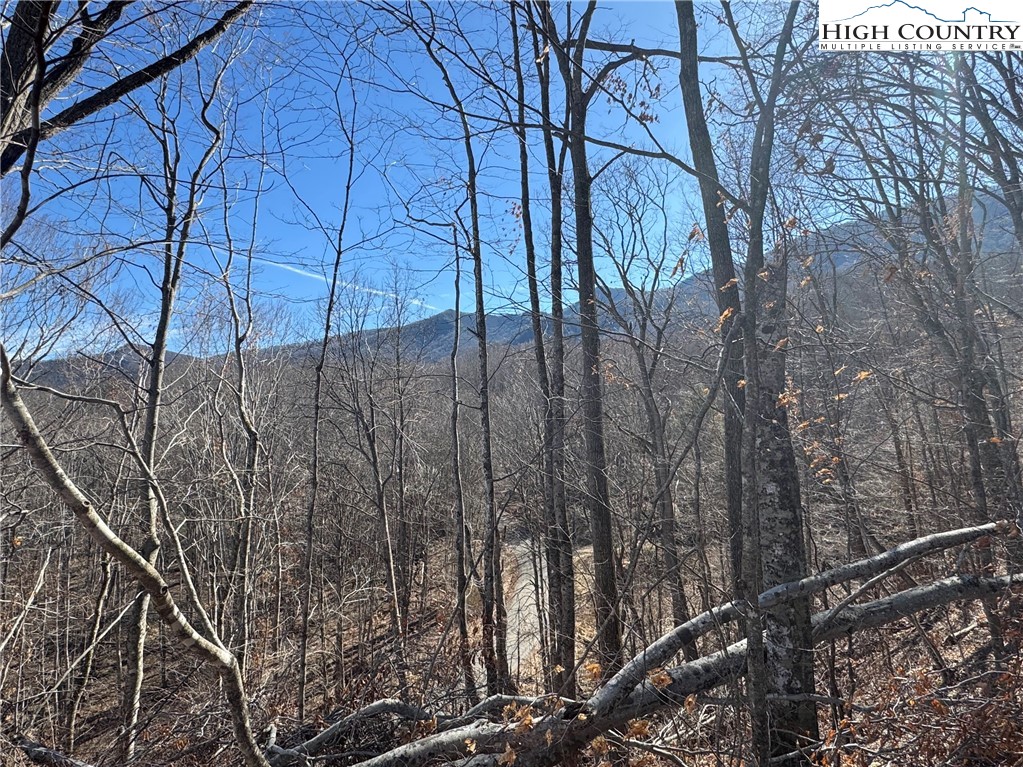 TBD Misty Mountain Road