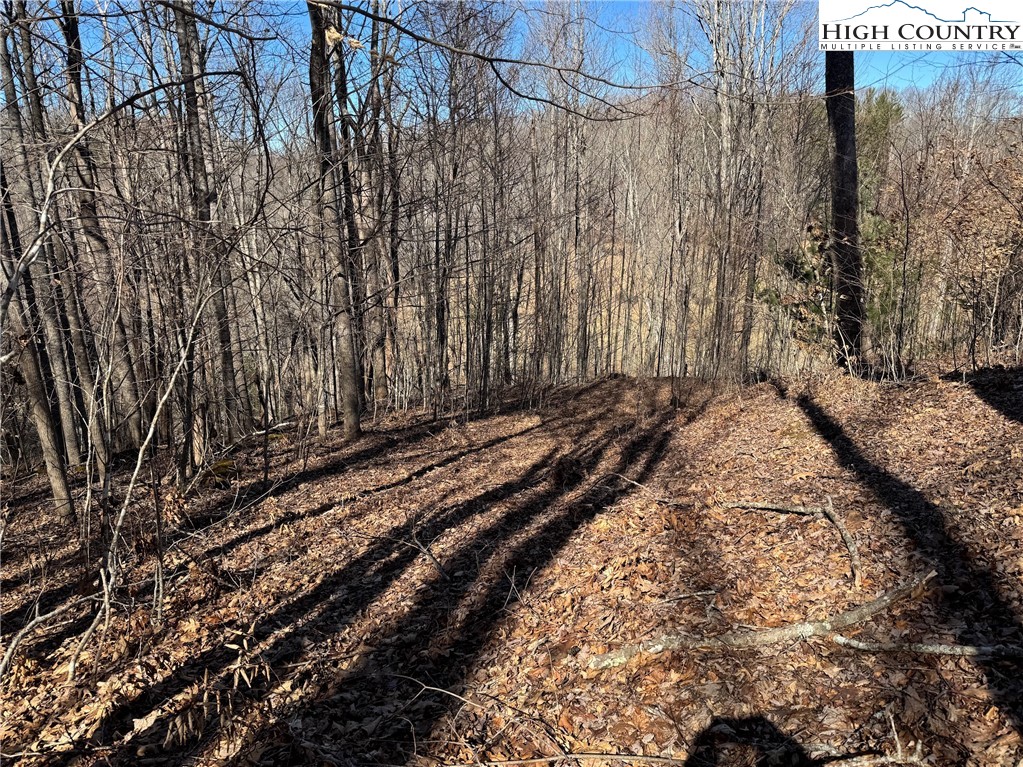 TBD Misty Mountain Road