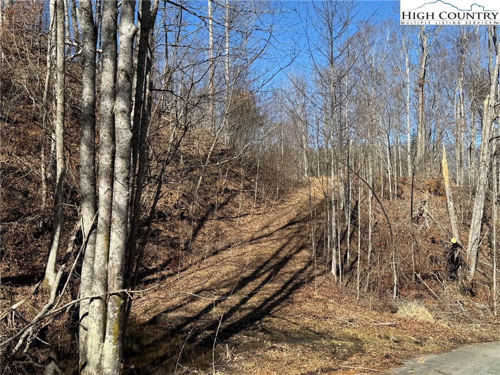 TBD Misty Mountain Road