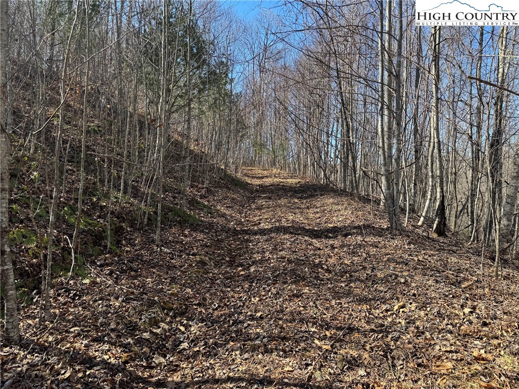 TBD Misty Mountain Road