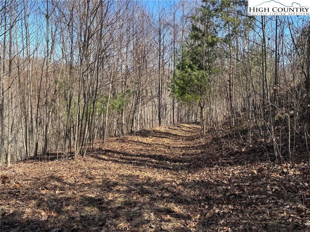 TBD Misty Mountain Road