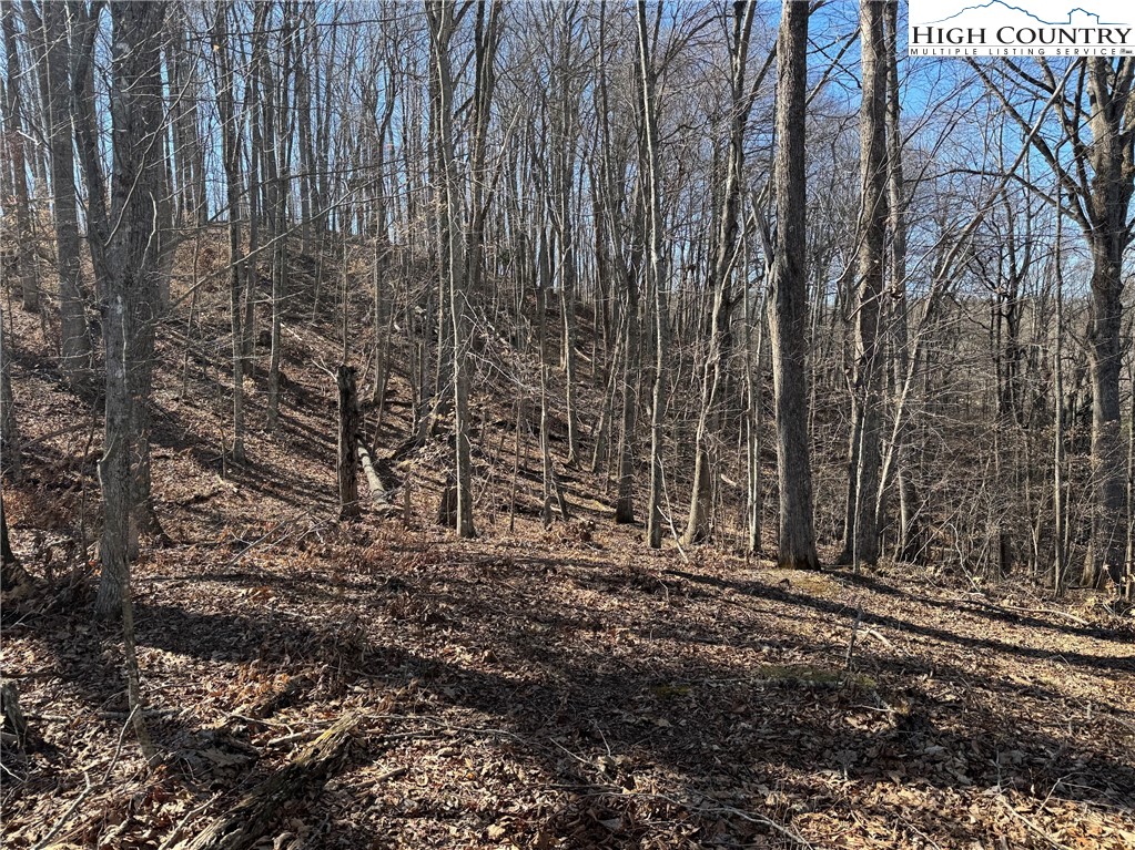 TBD Misty Mountain Road