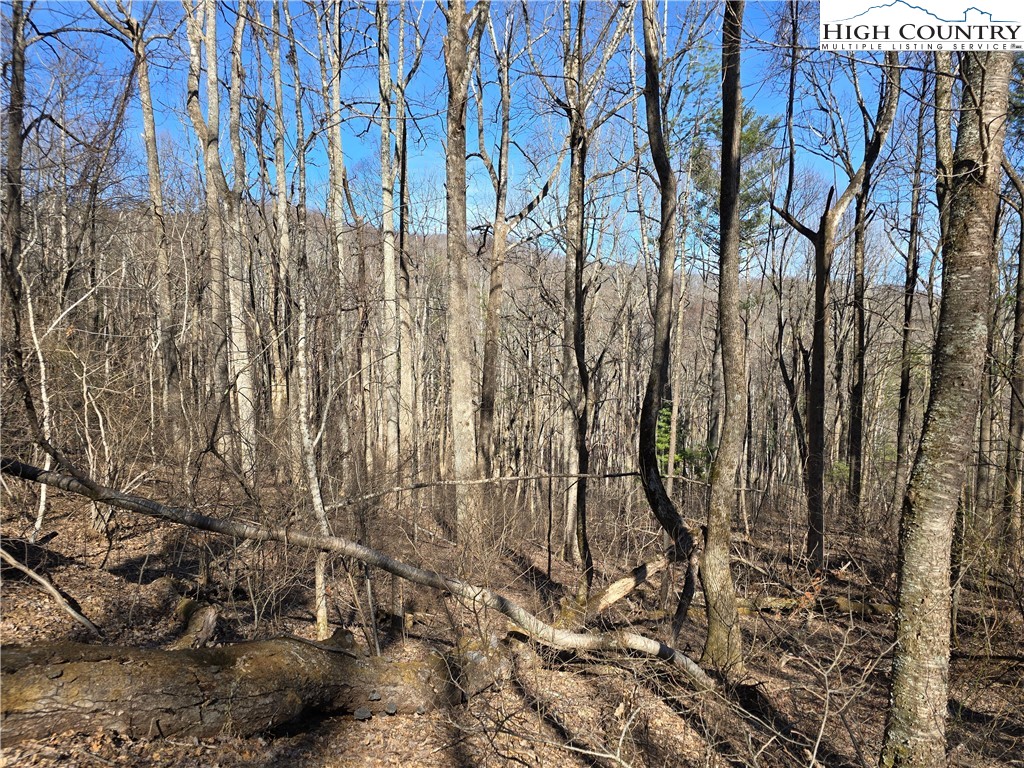 TBD Parkway Estates Rd