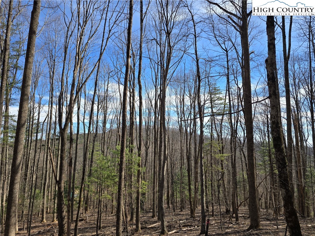 TBD Parkway Estates Rd