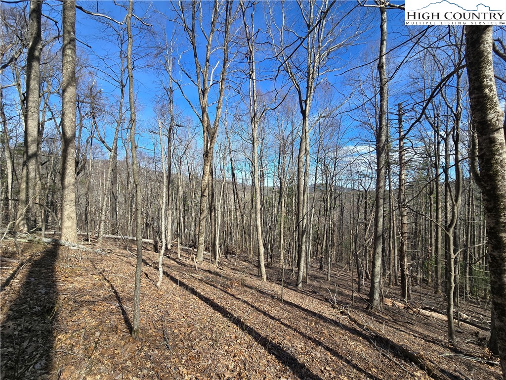 TBD Parkway Estates Rd