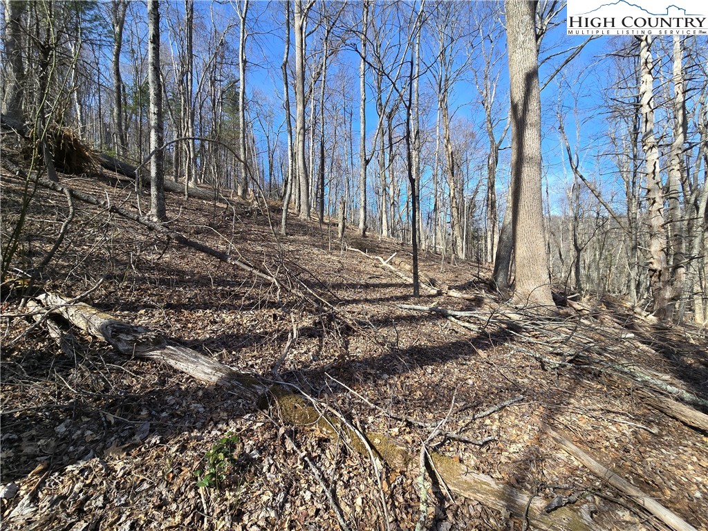 TBD Parkway Estates Rd