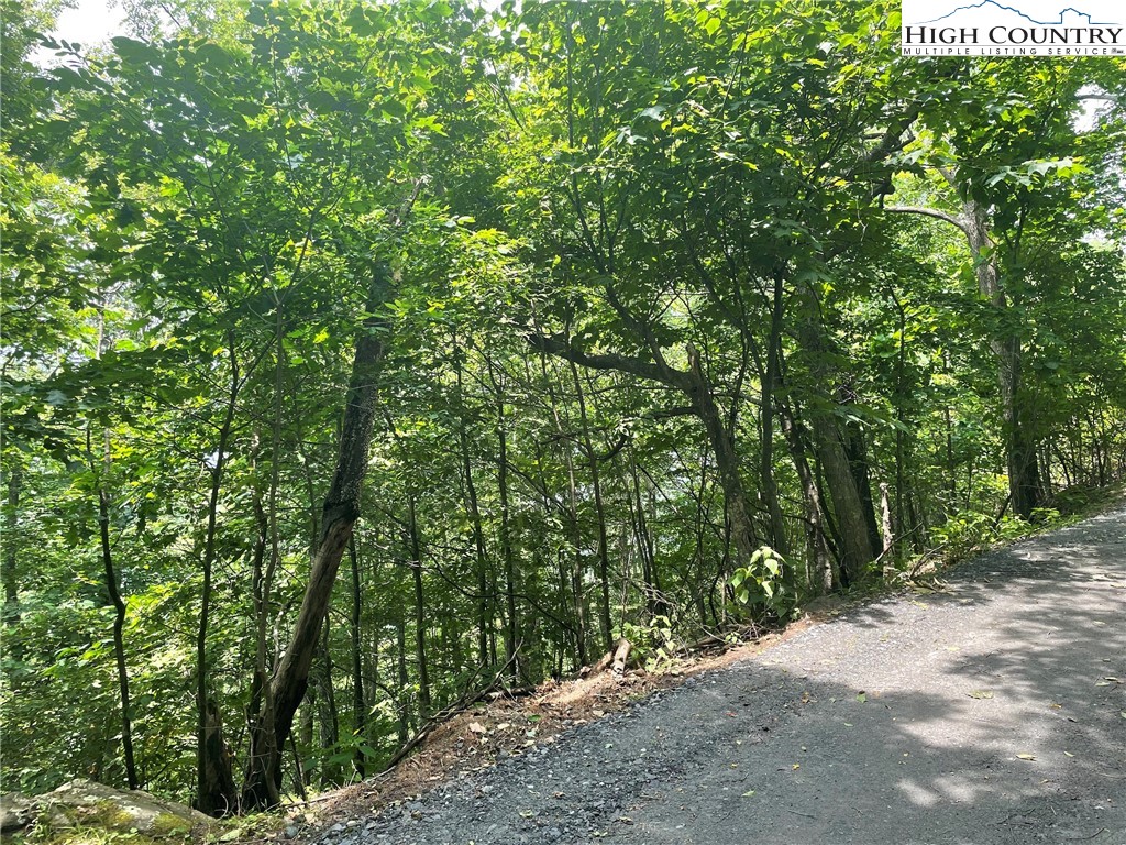 TBD Thomas Drive and Abbie Trail