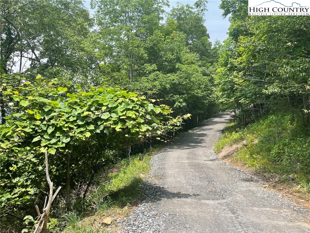 TBD Thomas Drive and Abbie Trail