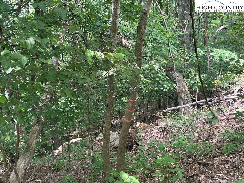 TBD Thomas Drive and Abbie Trail