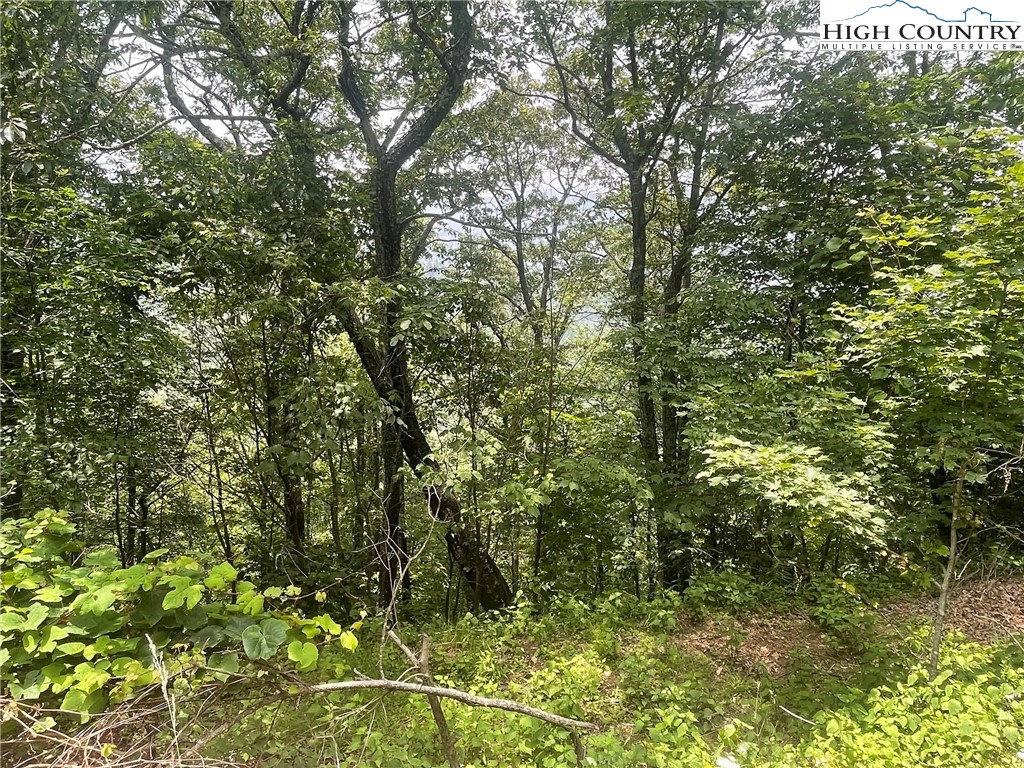 TBD Thomas Drive and Abbie Trail