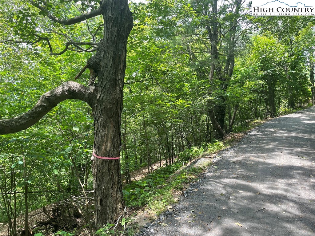 TBD Thomas Drive and Abbie Trail