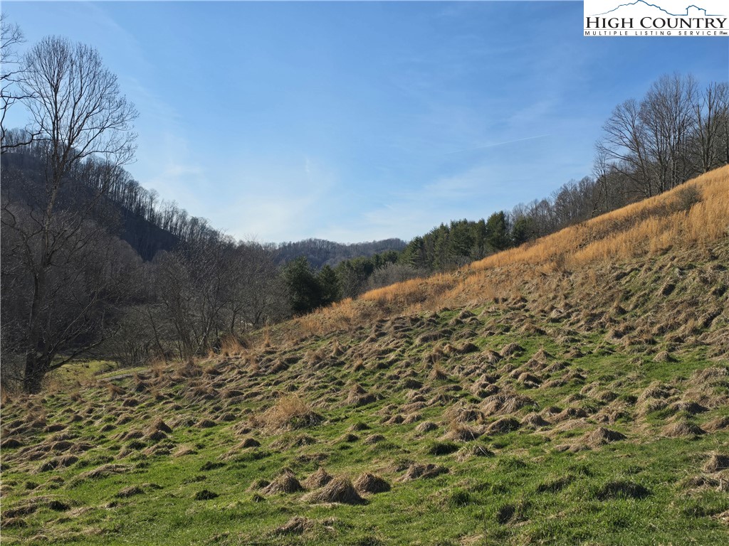 TBD (35.274 A) Roundabout Road