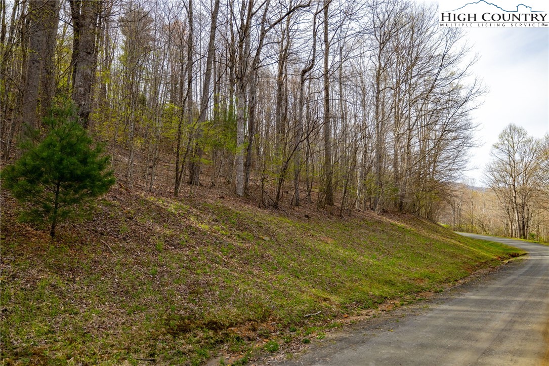 15 Bluff Canyon Drive