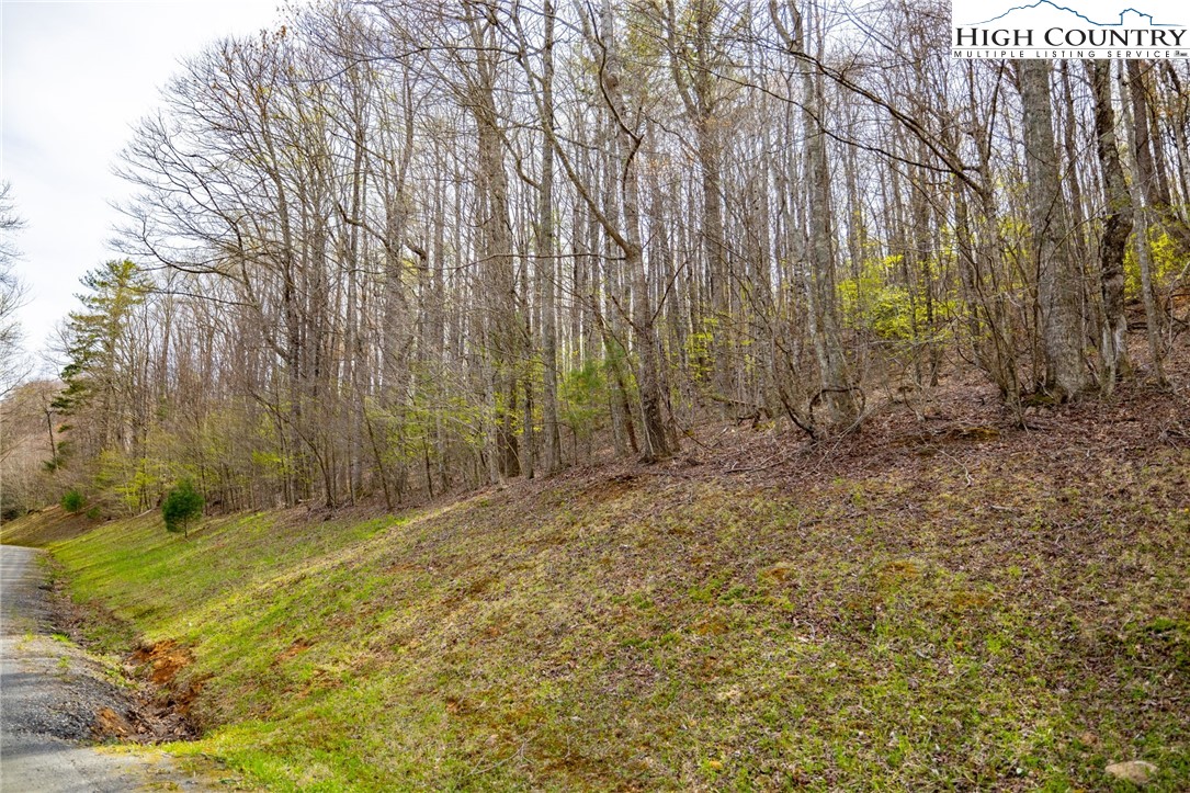 15 Bluff Canyon Drive