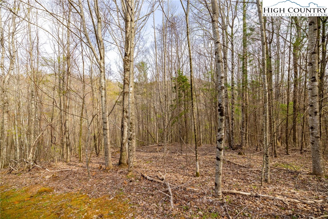 15 Bluff Canyon Drive