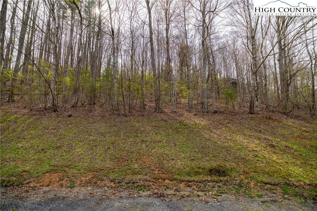 15 Bluff Canyon Drive