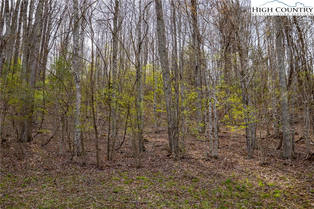 15 Bluff Canyon Drive