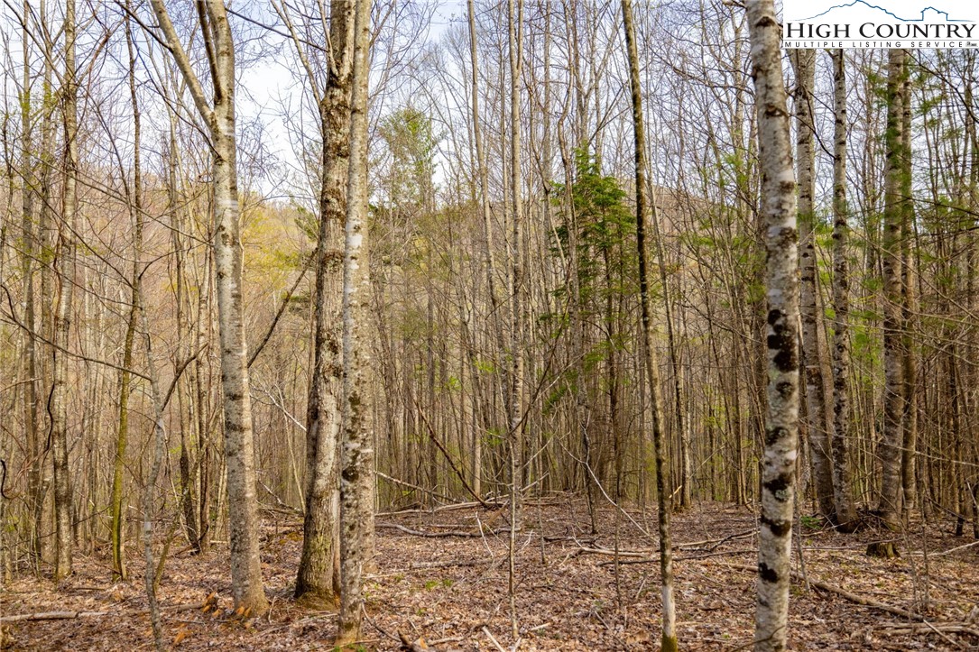 15 Bluff Canyon Drive