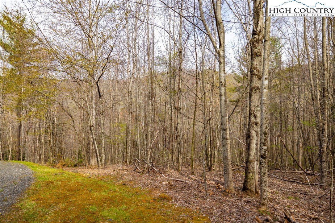 15 Bluff Canyon Drive