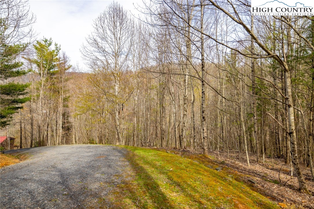 15 Bluff Canyon Drive