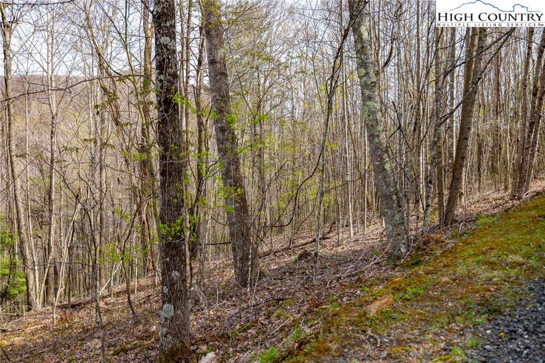 15 Bluff Canyon Drive