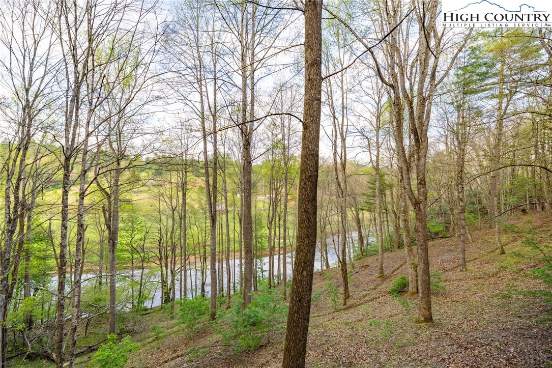 594 Village Pine Drive