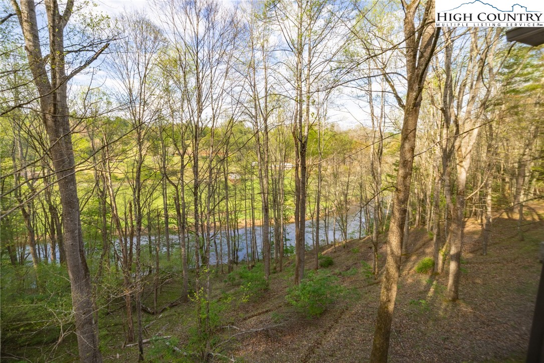 594 Village Pine Drive