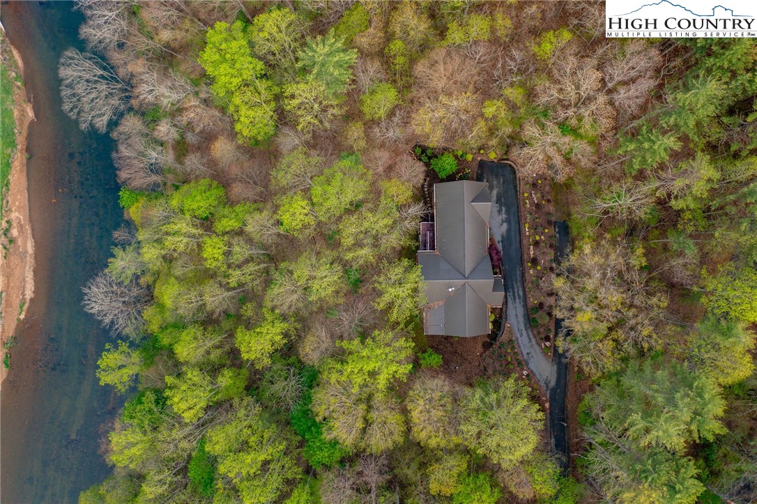 594 Village Pine Drive