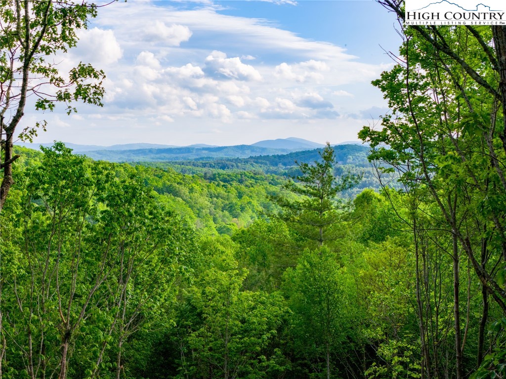 486 Noah's Ridge