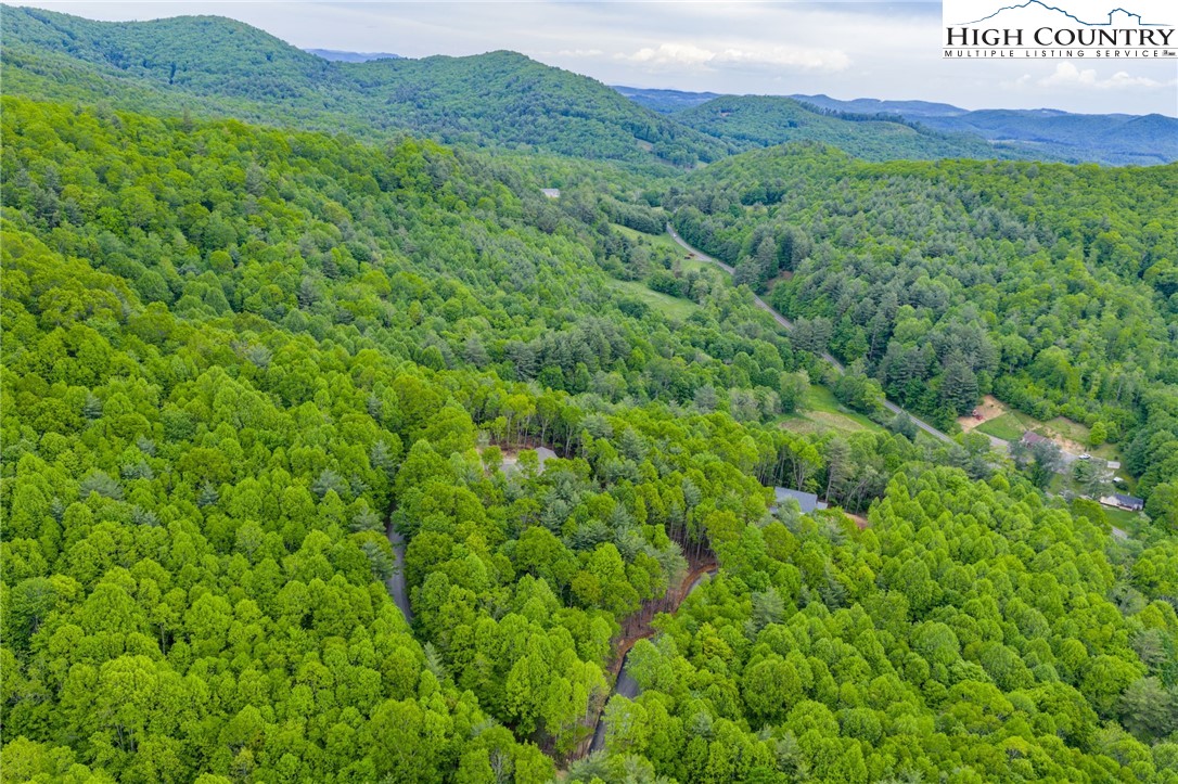 486 Noah's Ridge
