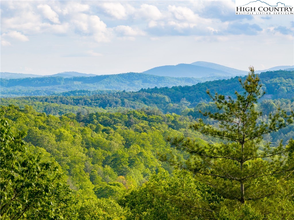 486 Noah's Ridge