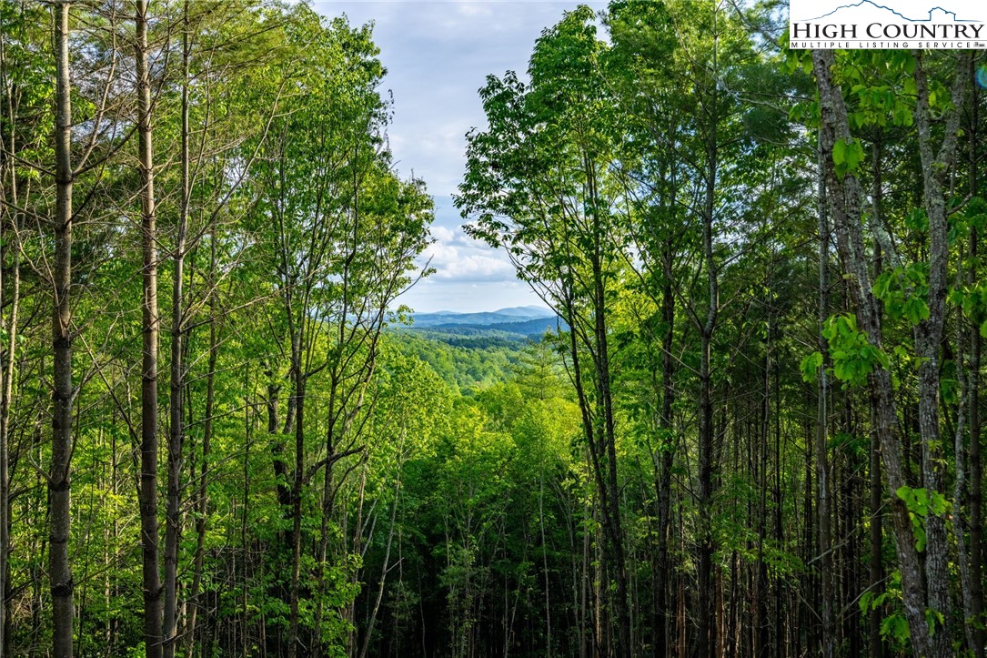 486 Noah's Ridge