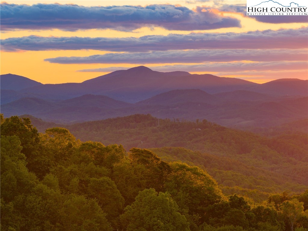 TBD Park Vista Drive