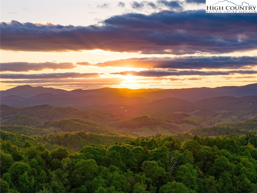 TBD Park Vista Drive