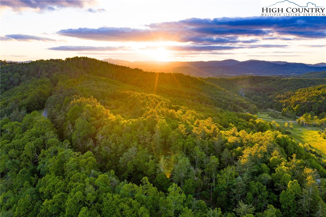 TBD Park Vista Drive