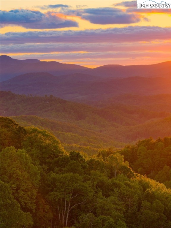 TBD Park Vista Drive