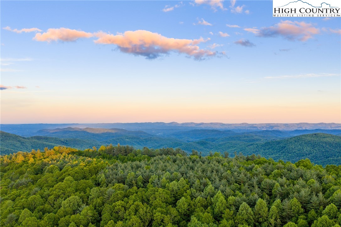 TBD Park Vista Drive