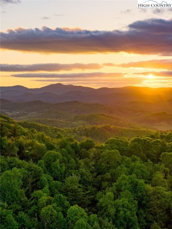 TBD Park Vista Drive