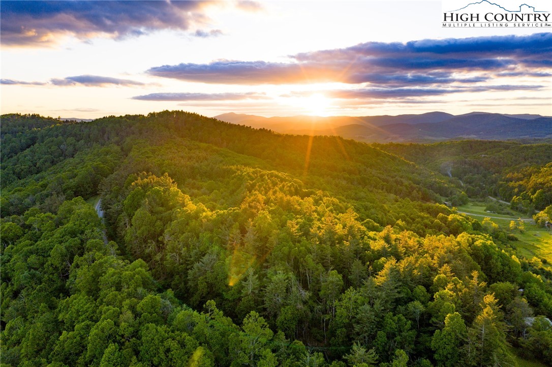 TBD Park Vista Drive