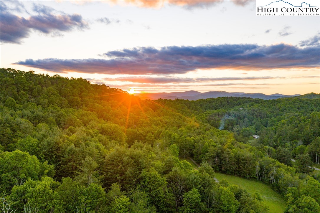 TBD Park Vista Drive