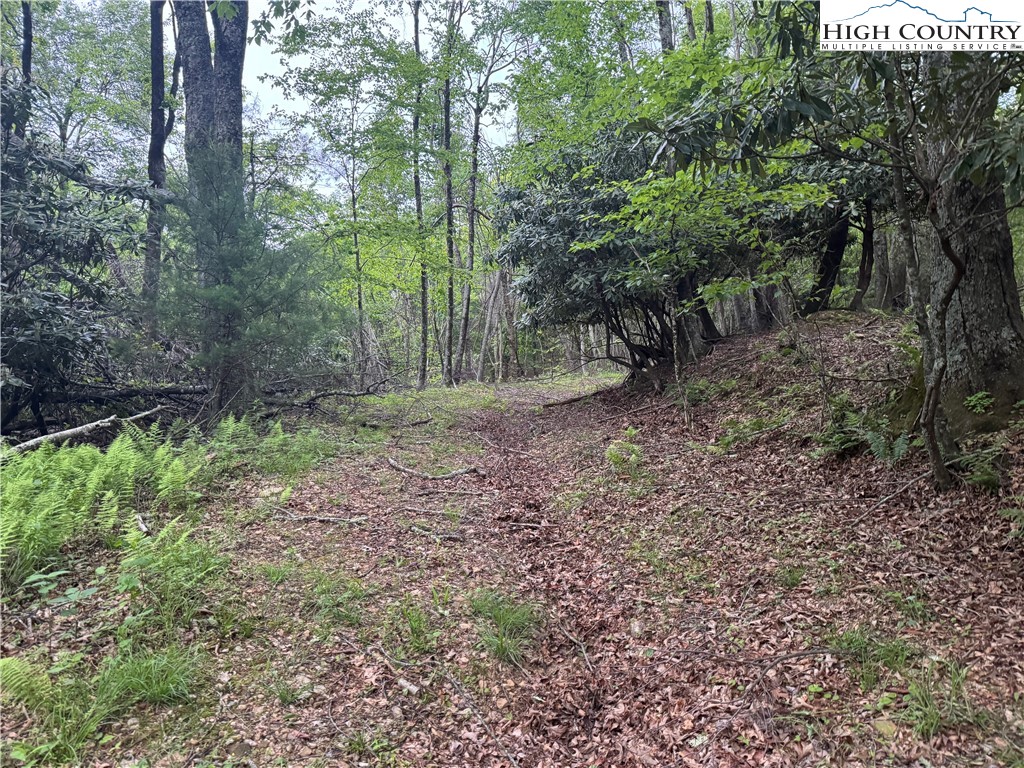 TBD Park Vista Drive