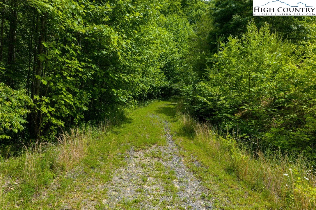 TBD Riversong Drive