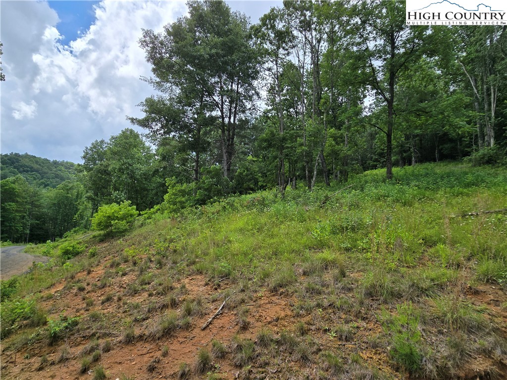 TBD (Lot 3) Venue Views Drive