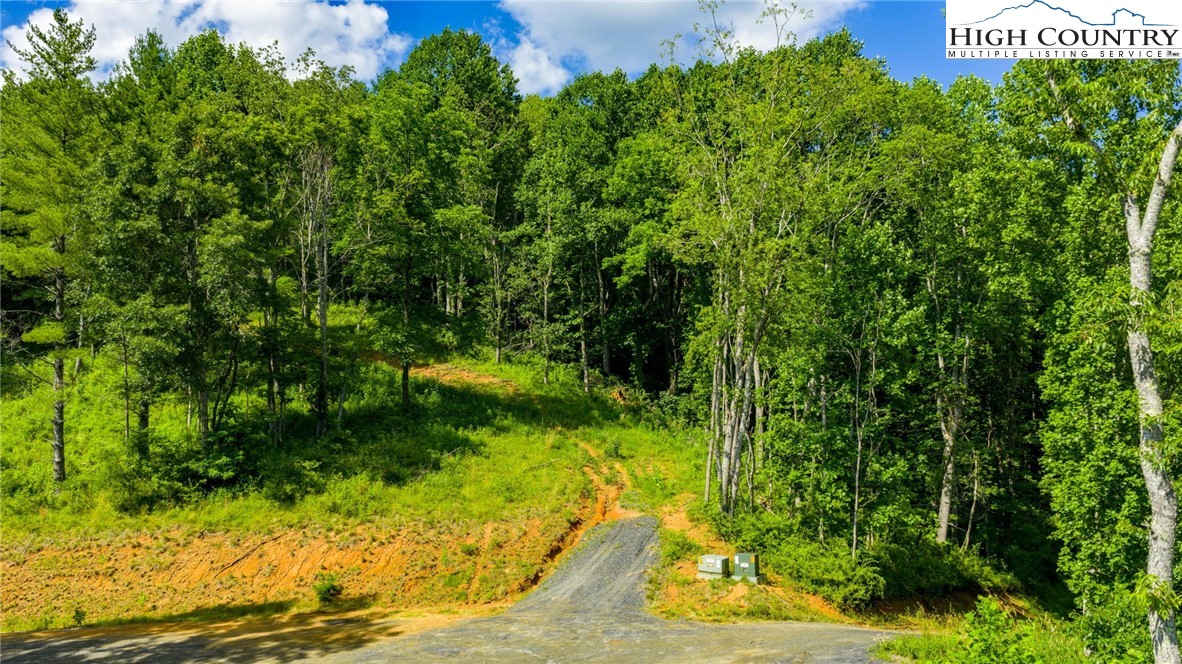 TBD (Lot 3) Venue Views Drive