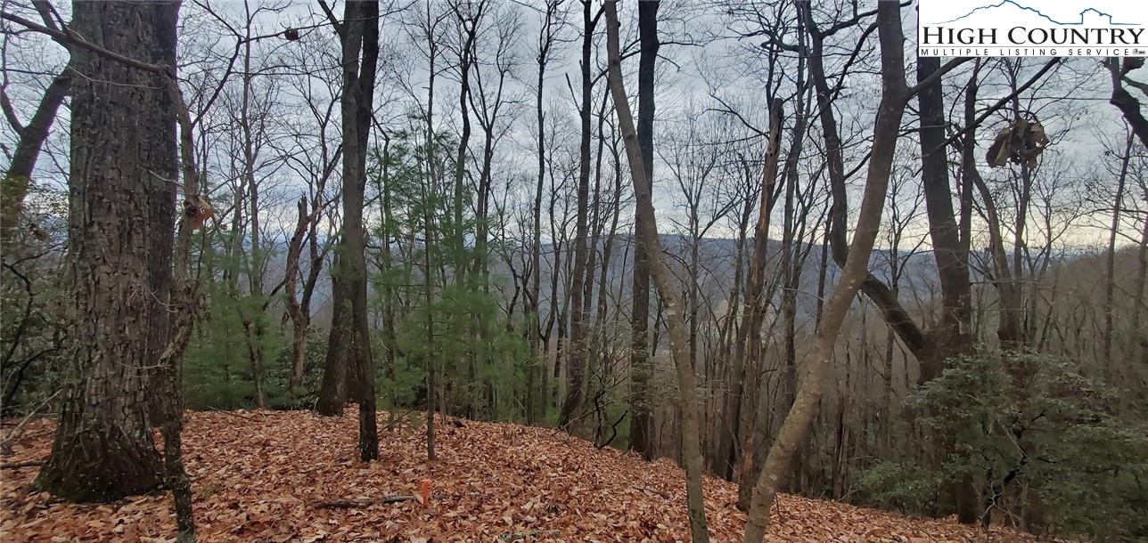 TBD (Lot 3) Venue Views Drive