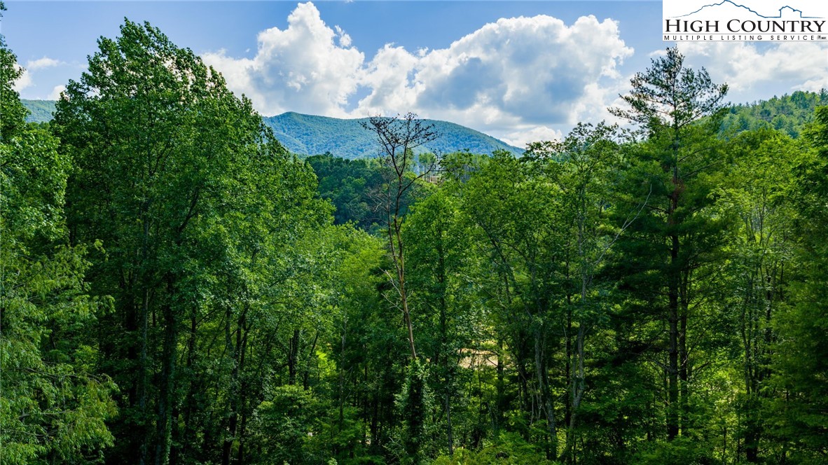 TBD (Lot 3) Venue Views Drive