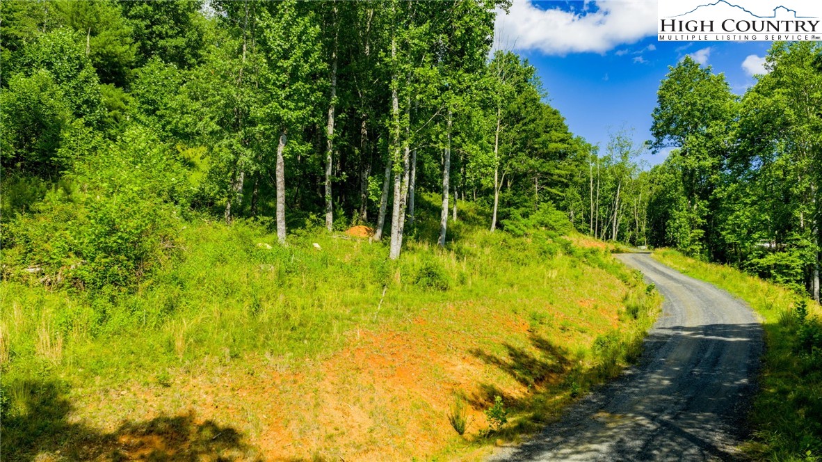 TBD (Lot 3) Venue Views Drive