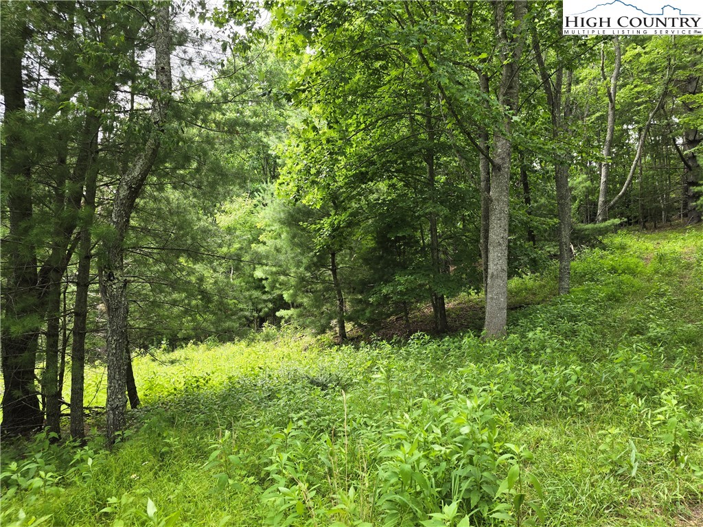 TBD (Lot 3) Venue Views Drive